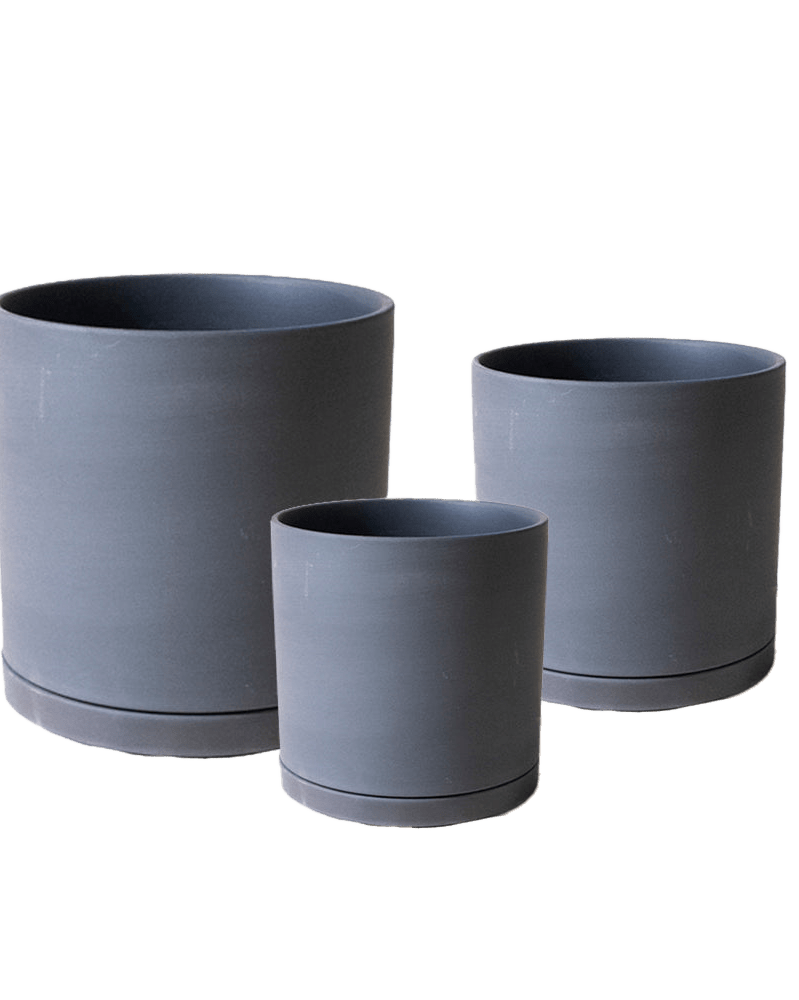 Dojo Porcelain Modern Indoor Plant Pot With Saucer Sets - Chive US Wholesale