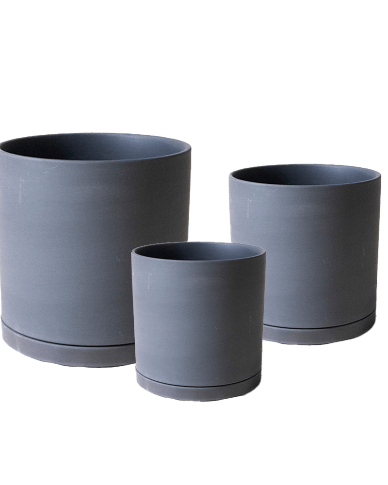 Dojo Porcelain Modern Indoor Plant Pot With Saucer Sets - Chive US Wholesale