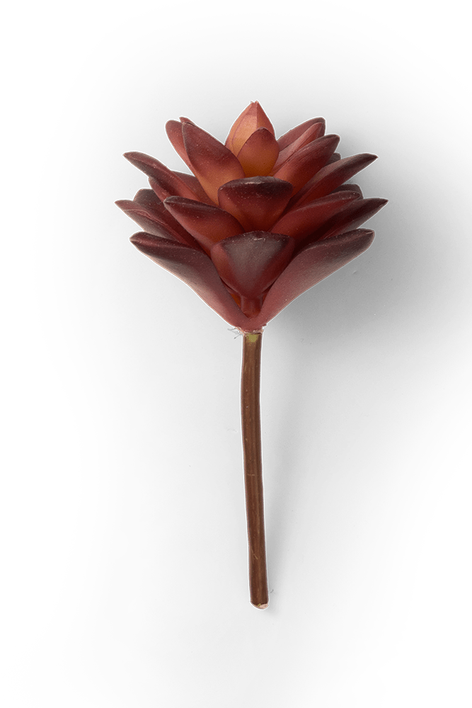 Premium Artificial Succulents - Lifelike Botanical Decor - Chive US Wholesale