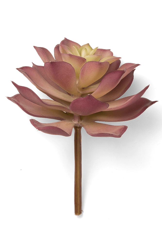 Premium Artificial Succulents - Lifelike Botanical Decor - Chive US Wholesale