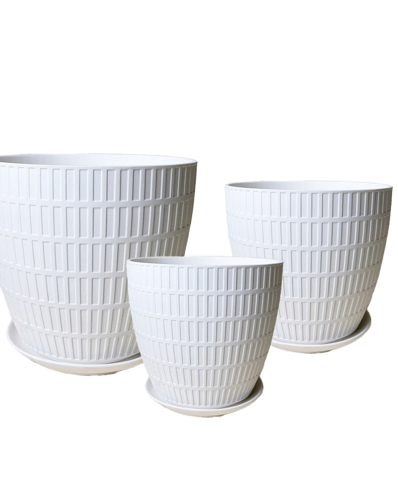 Virago Porcelain Pot With Drainage Hole And Saucer Sets - Chive US Wholesale