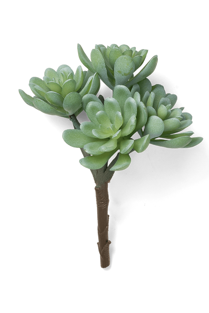 Premium Artificial Succulents - Lifelike Botanical Decor - Chive US Wholesale