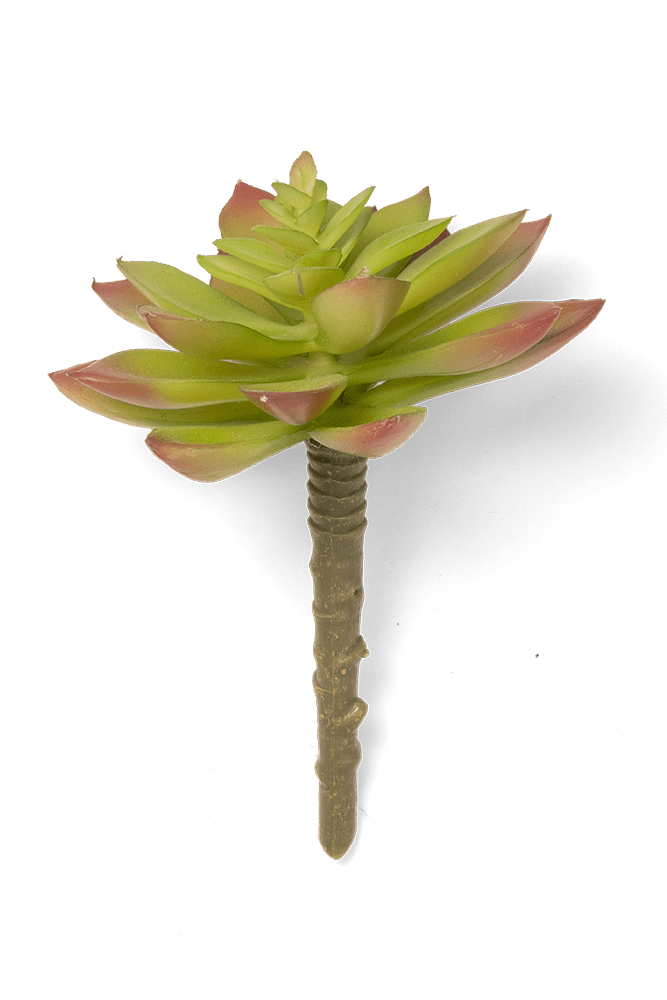 Premium Artificial Succulents - Lifelike Botanical Decor - Chive US Wholesale