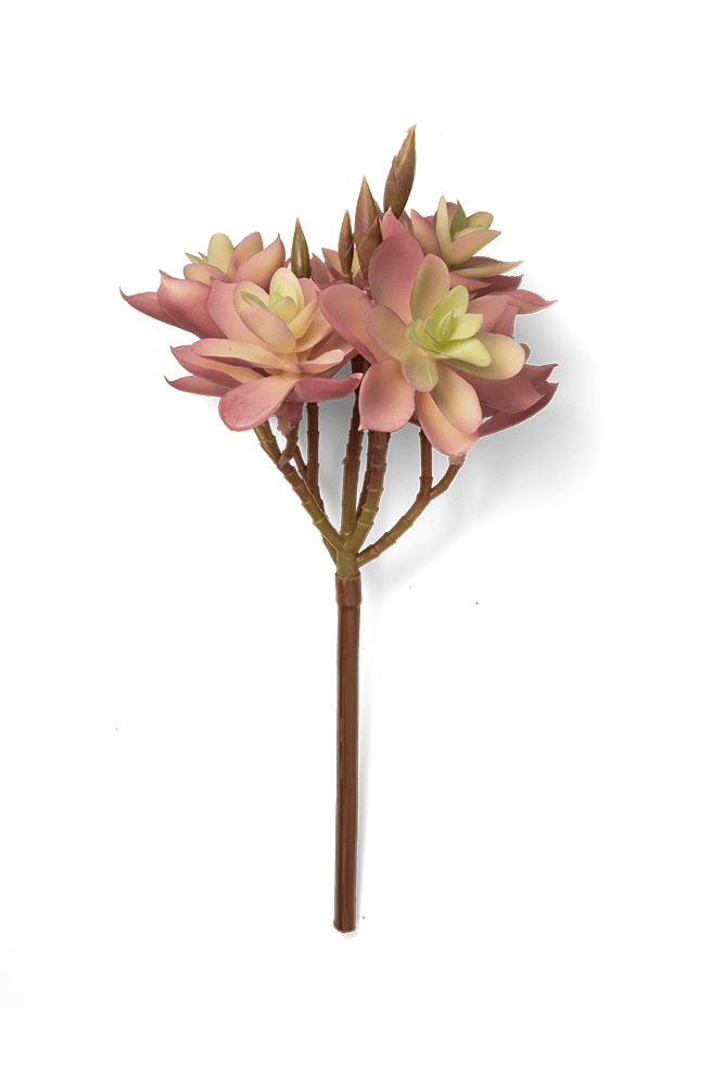 Premium Artificial Succulents - Lifelike Botanical Decor - Chive US Wholesale