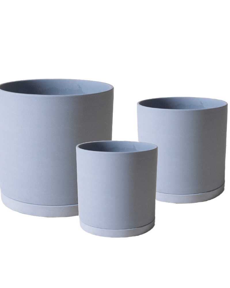 Dojo Porcelain Modern Indoor Plant Pot With Saucer Sets - Chive US Wholesale