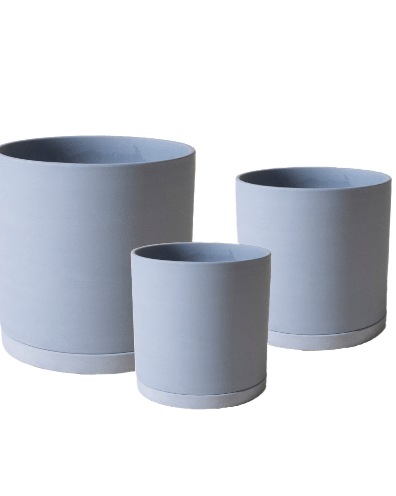 Dojo Porcelain Modern Indoor Plant Pot With Saucer Sets - Chive US Wholesale