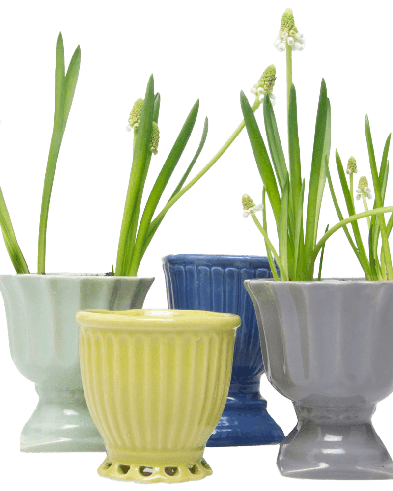 Brilliant Ceramic Vintage Plant Pot Kit - Chive US Wholesale