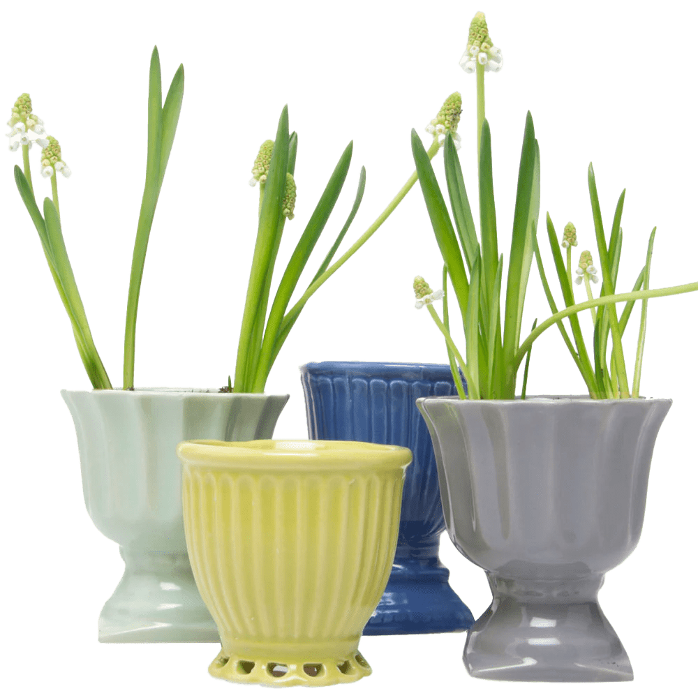 Brilliant Ceramic Vintage Plant Pot Kit - Chive US Wholesale