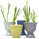 Brilliant Ceramic Vintage Plant Pot Kit - Chive US Wholesale