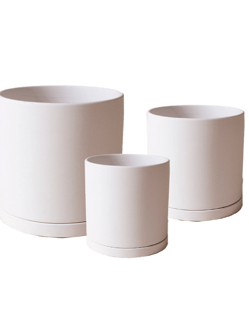 Dojo Porcelain Modern Indoor Plant Pot With Saucer Sets - Chive US Wholesale