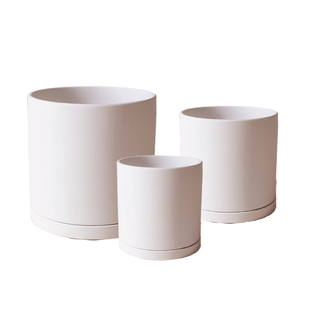 Dojo Porcelain Modern Indoor Plant Pot With Saucer Sets - Chive US Wholesale