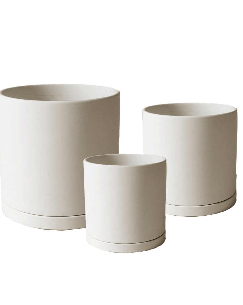Dojo Porcelain Modern Indoor Plant Pot With Saucer Sets - Chive US Wholesale