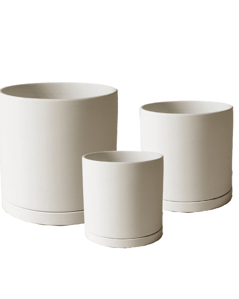 Dojo Porcelain Modern Indoor Plant Pot With Saucer Sets - Chive US Wholesale