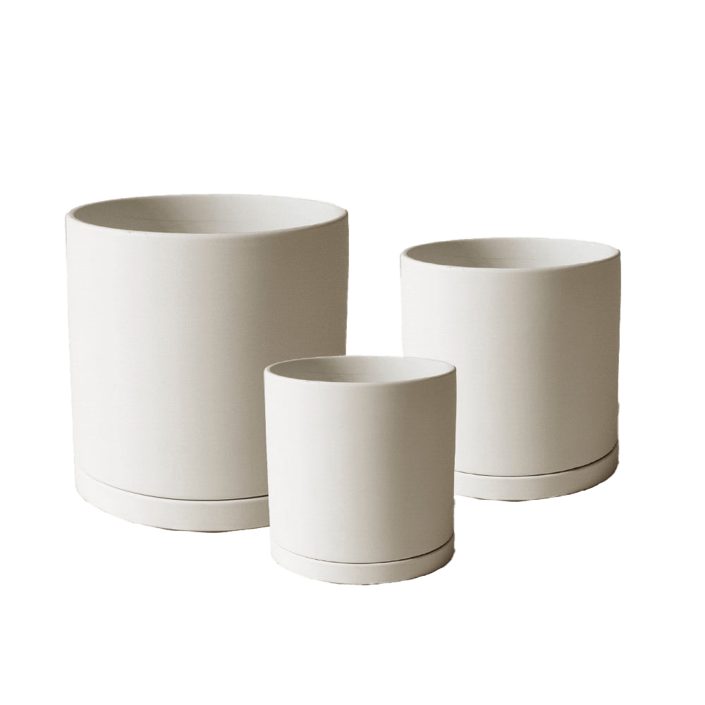 Dojo Porcelain Modern Indoor Plant Pot With Saucer Sets - Chive US Wholesale