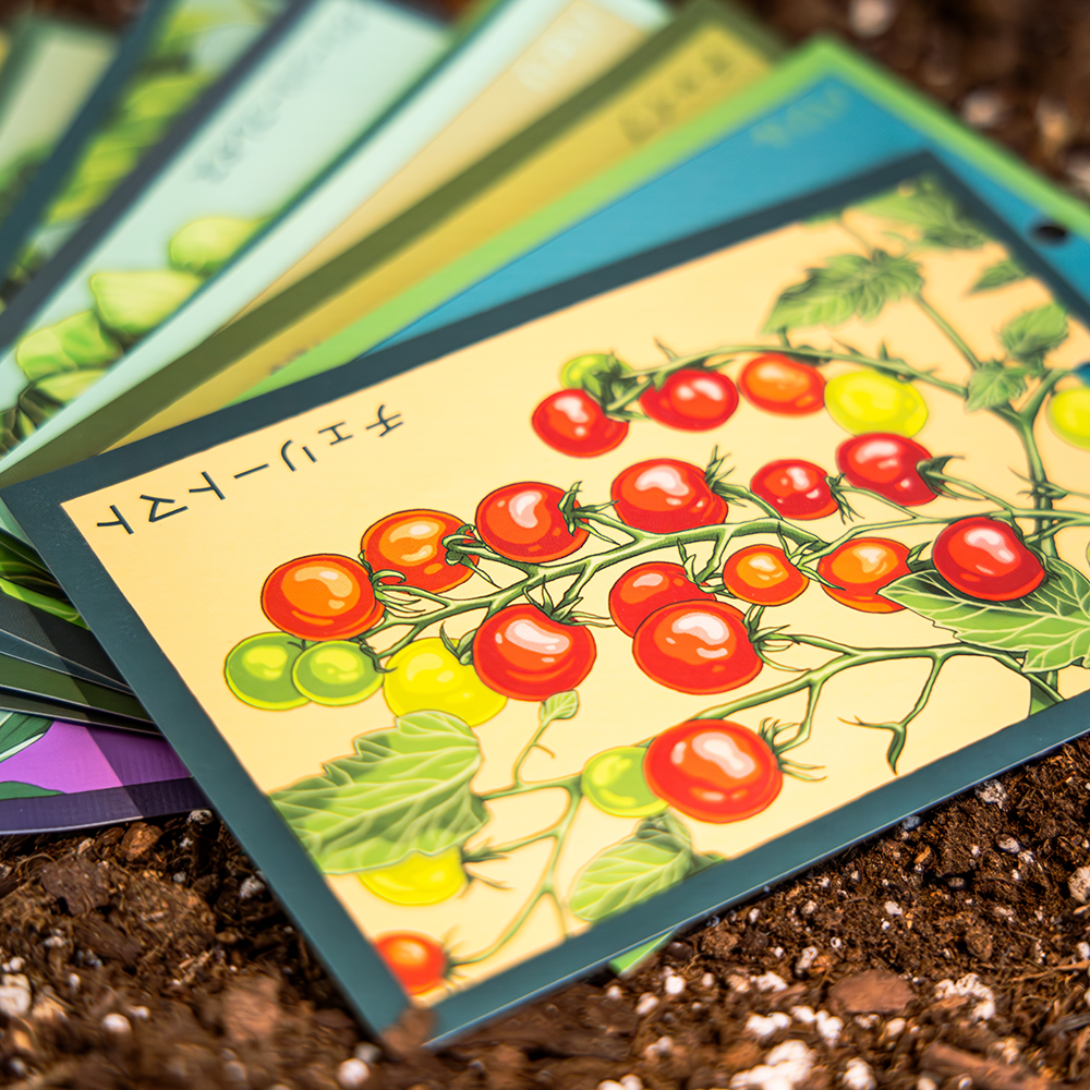 Colorful Shido seed packets with tomato illustrations on a soil background | Chive