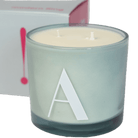 Modern Fling Coconut & Soy Blend Candle A - Chive US Wholesale
