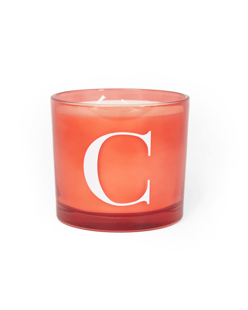 Modern Fling Coconut & Soy Blend Candle C - Chive US Wholesale