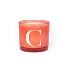 Modern Fling Coconut & Soy Blend Candle C - Chive US Wholesale