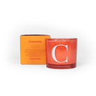 Modern Fling Coconut & Soy Blend Candle C - Chive US Wholesale