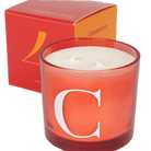 Modern Fling Coconut & Soy Blend Candle C - Chive US Wholesale