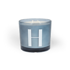 Modern Fling Coconut & Soy Blend Candle H - Chive US Wholesale