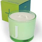 Modern Fling Coconut & Soy Blend Candle J - Chive US Wholesale