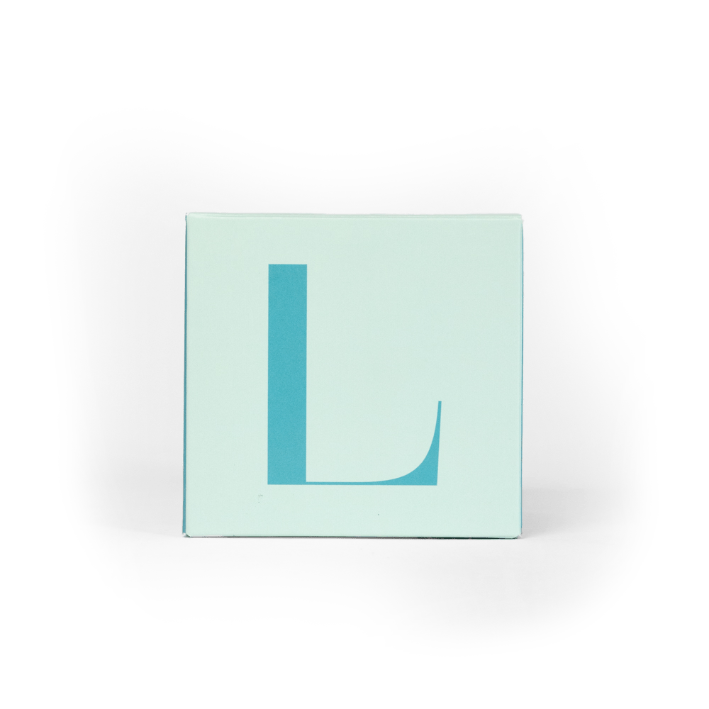 Modern Fling Coconut & Soy Blend Candle L - Chive US Wholesale