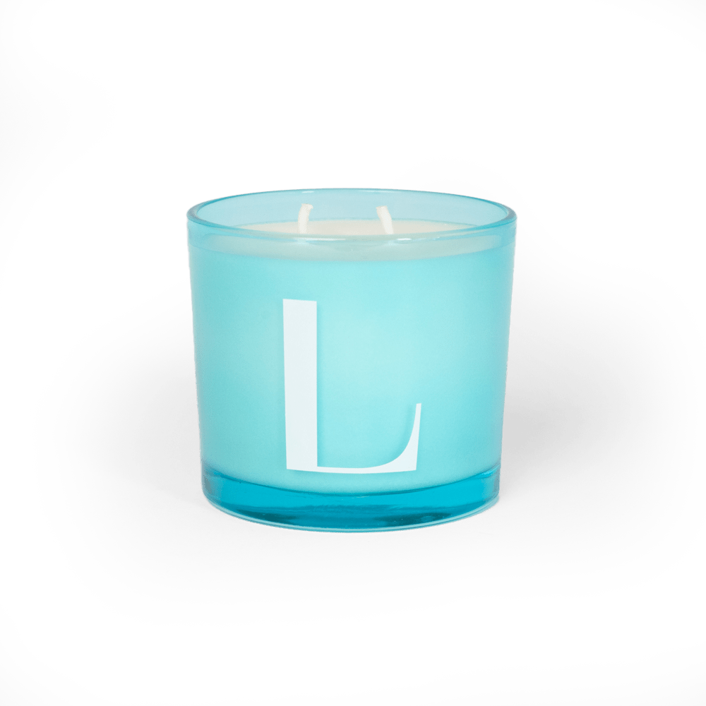 Modern Fling Coconut & Soy Blend Candle L - Chive US Wholesale