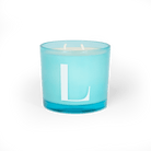 Modern Fling Coconut & Soy Blend Candle L - Chive US Wholesale