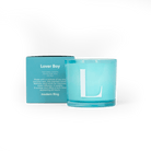 Modern Fling Coconut & Soy Blend Candle L - Chive US Wholesale