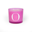 Modern Fling Coconut & Soy Blend Candle O - Chive US Wholesale