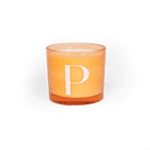Modern Fling Coconut & Soy Blend Candle P - Chive US Wholesale