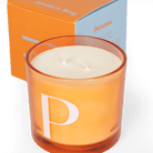 Modern Fling Coconut & Soy Blend Candle P - Chive US Wholesale