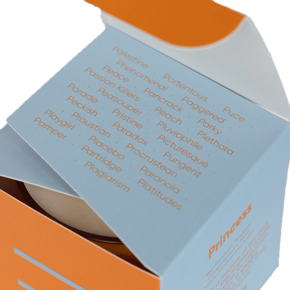 Modern Fling Coconut & Soy Blend Candle P - Chive US Wholesale