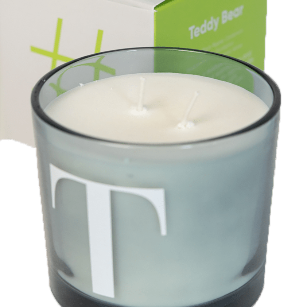 Modern Fling Coconut & Soy Blend Candle T - Chive US Wholesale