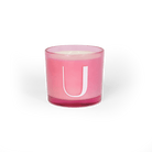 Modern Fling Coconut & Soy Blend Candle U - Chive US Wholesale