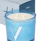 Modern Fling Coconut & Soy Blend Candle V - Chive US Wholesale