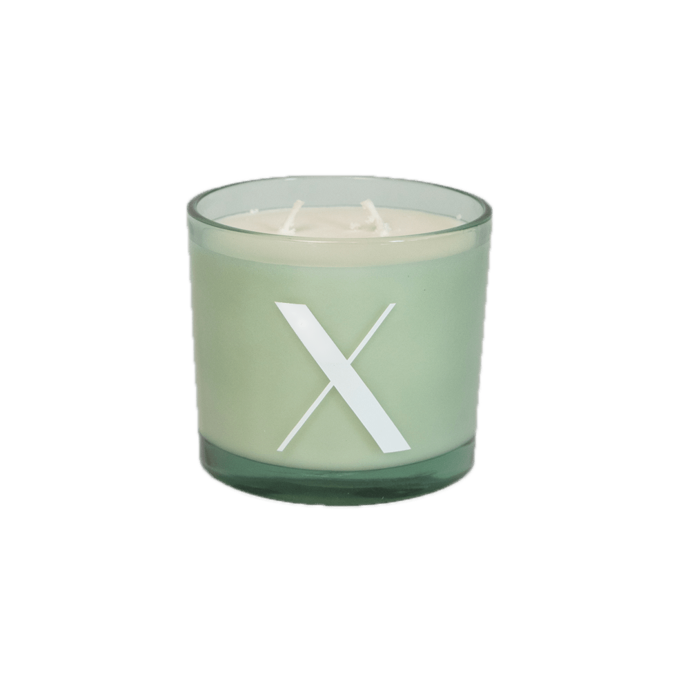 Modern Fling Coconut & Soy Blend Candle X - Chive US Wholesale