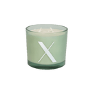 Modern Fling Coconut & Soy Blend Candle X - Chive US Wholesale