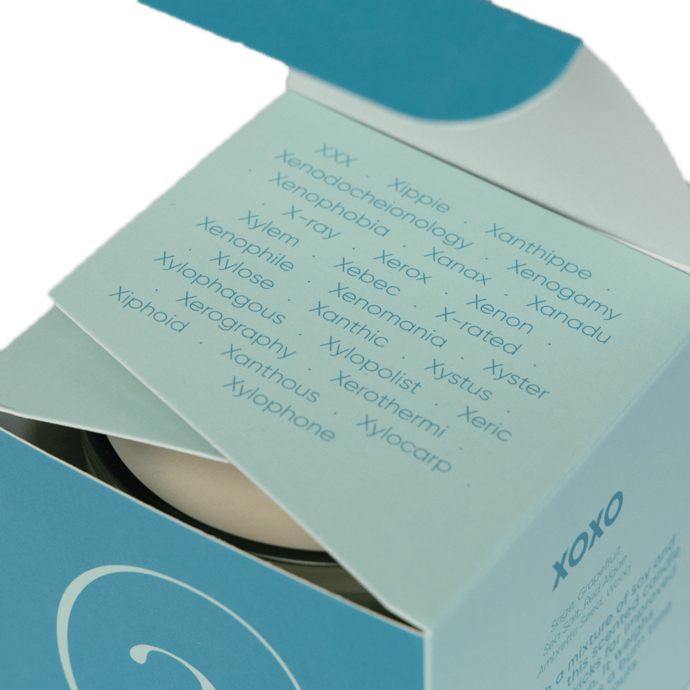 Modern Fling Coconut & Soy Blend Candle X - Chive US Wholesale