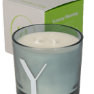Modern Fling Coconut & Soy Blend Candle Y - Chive US Wholesale
