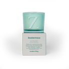 Modern Fling Coconut & Soy Blend Candle Z - Chive US Wholesale