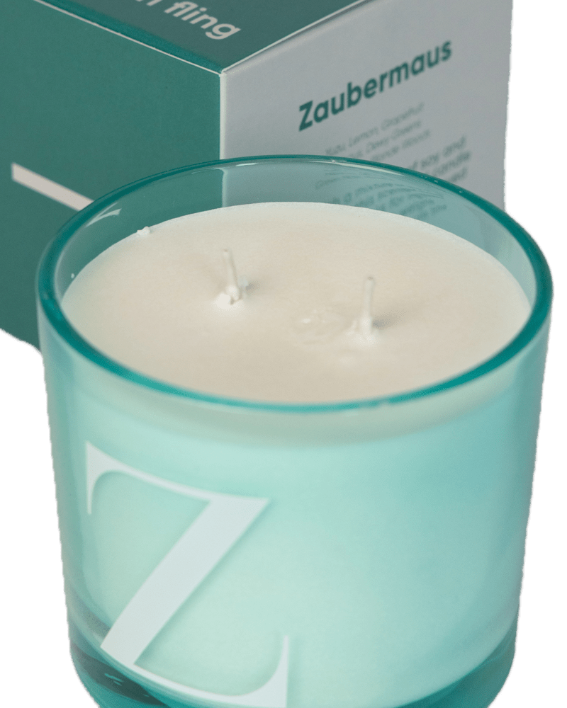 Modern Fling Coconut & Soy Blend Candle Z - Chive US Wholesale