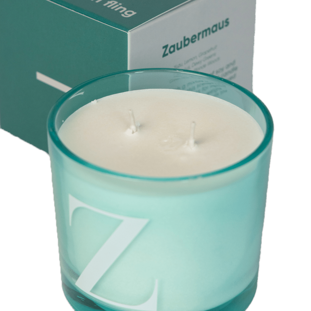 Modern Fling Coconut & Soy Blend Candle Z - Chive US Wholesale