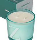 Modern Fling Coconut & Soy Blend Candle Z - Chive US Wholesale