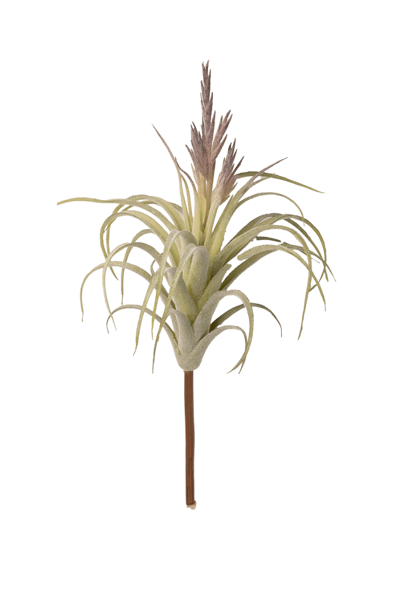 Air Plant Fake Lifelike Realistic Unkillable! - Chive US Wholesale