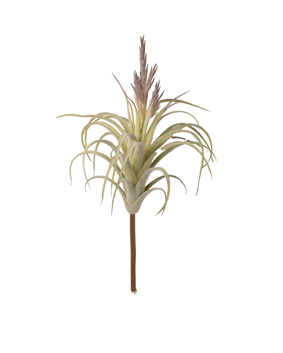 Air Plant Fake Lifelike Realistic Unkillable! - Chive US Wholesale