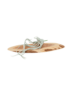 Air Plant Fake Lifelike Realistic Unkillable! - Chive US Wholesale