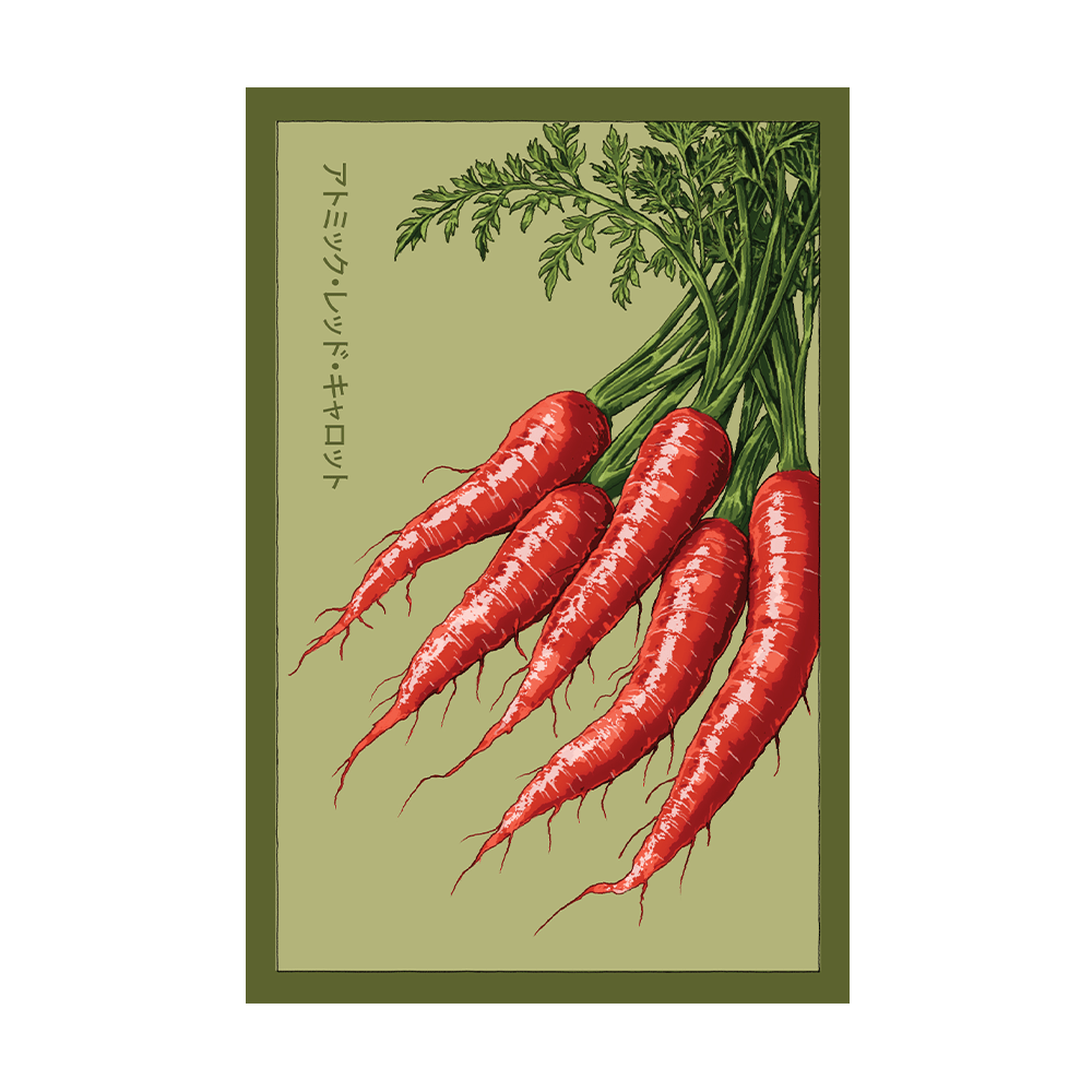 Atomic Red Carrots Vegetable Seeds Packet - Chive US Wholesale