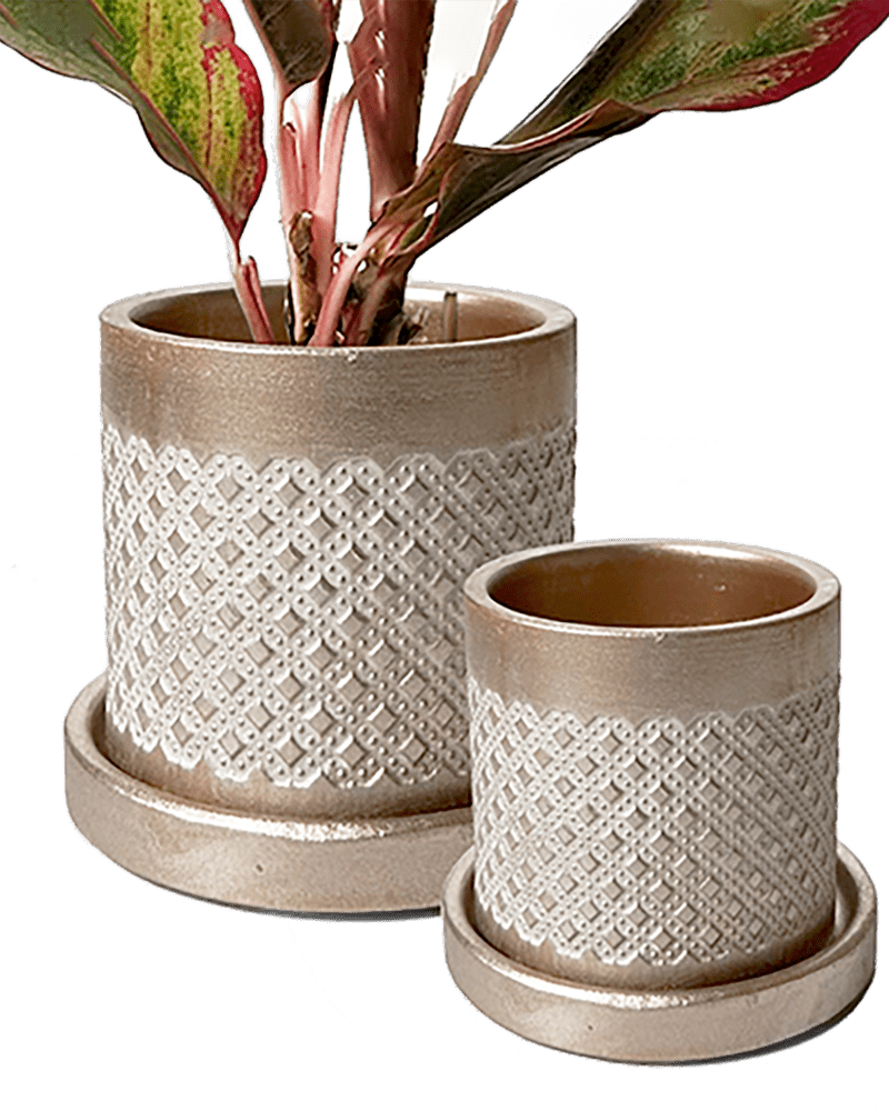 Balter Ceramic Pot And Saucer Set - Chive US Wholesale